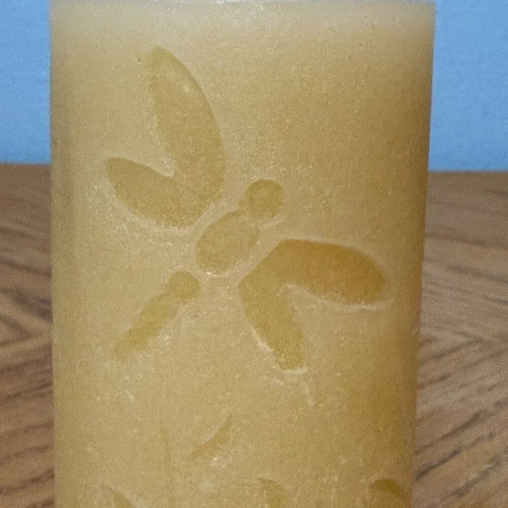 Set of 2 Pier 1 Imports Dragonfly Floral Etched Decorative Pillar Candles